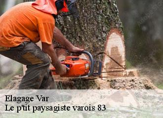 Elagage 83 Var  Le p'tit paysagiste varois 83