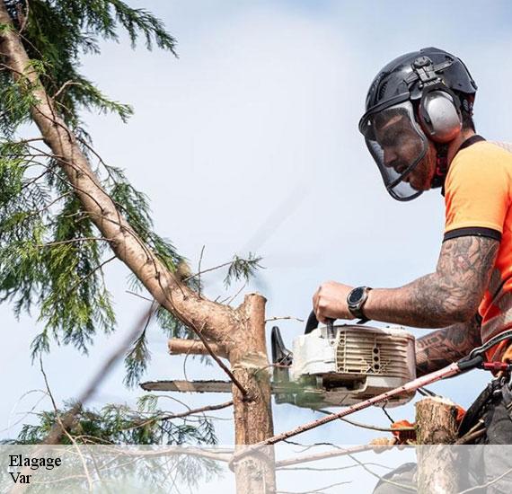Elagage Var