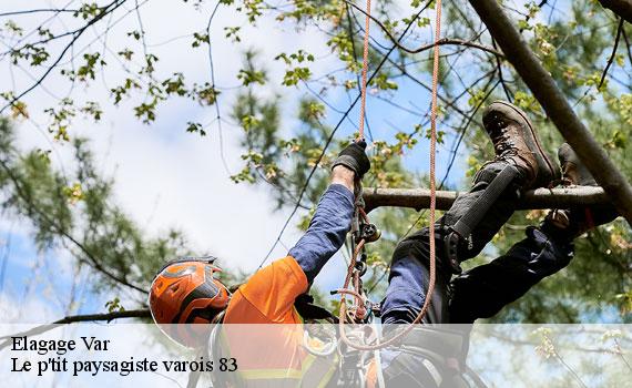 Elagage Var