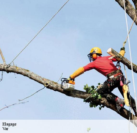 Elagage Var