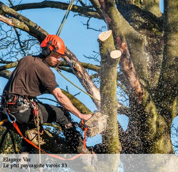Elagage Var