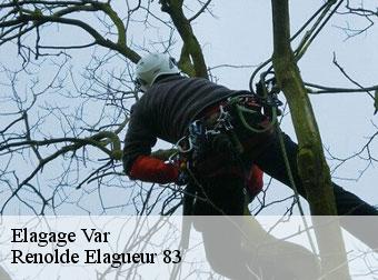 Elagage 83 Var Renolde Elagueur 83