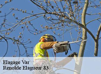 Elagage Var