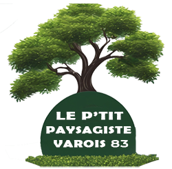elagage-le-p-tit-paysagiste-varois-83